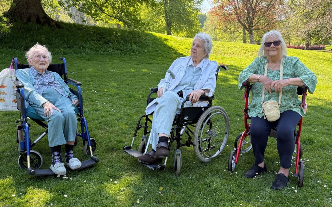 Enjoying the sunshine