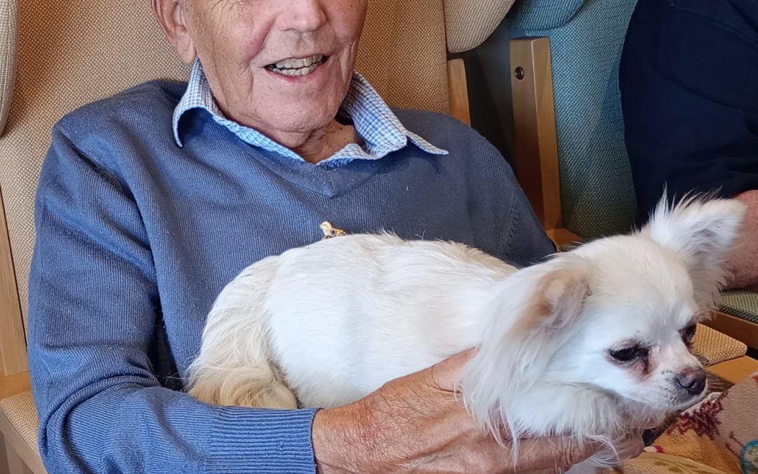 Our Day Care Guests Have Been Busy!