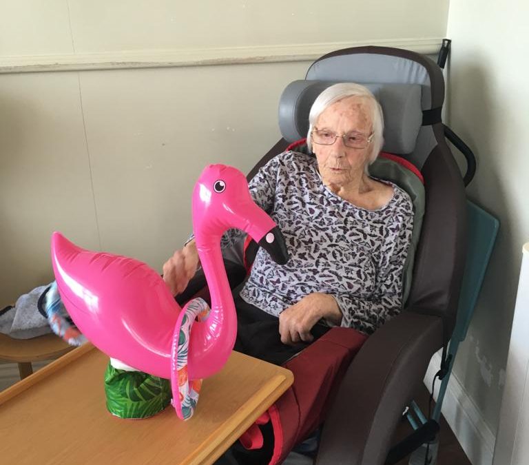 Pink Flamingo came to play