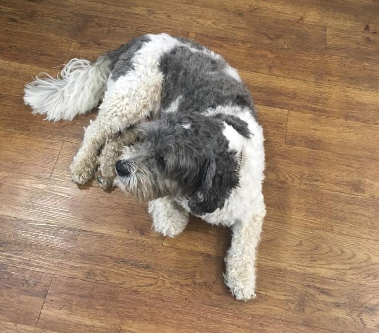 Our Residents This Week