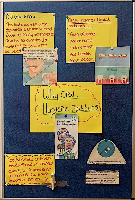 Oral Health Champion Board