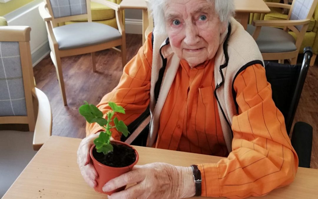 Our Residents This Week: