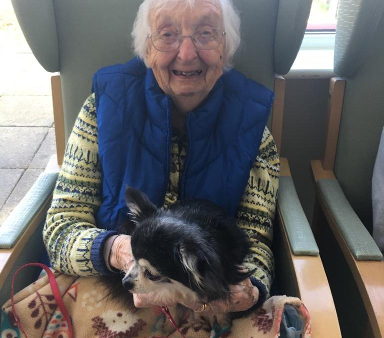 Entertainment This Week