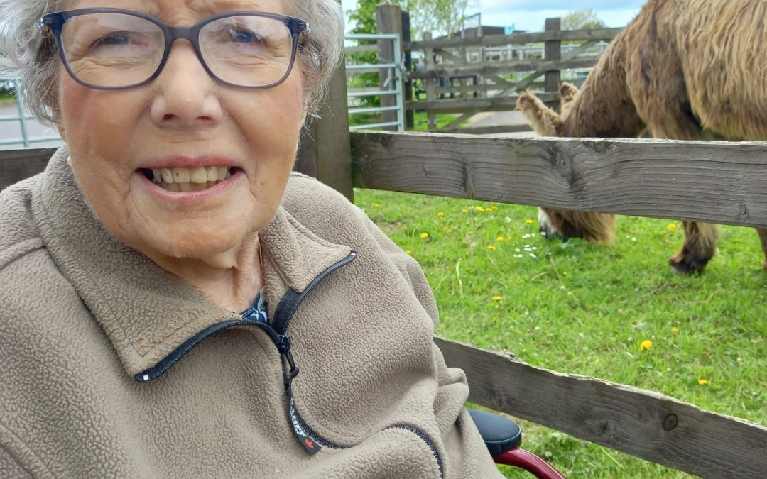 Visit to the Donkey Sanctuary