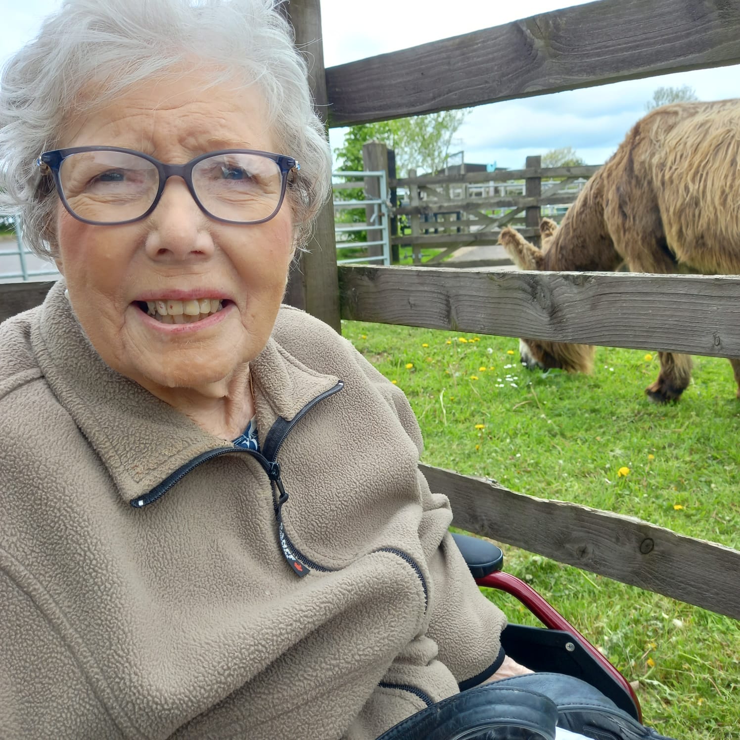 Visit to the Donkey Sanctuary Harbour Rise