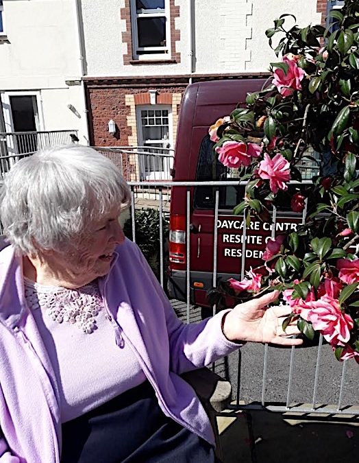 Harbour Rise – trips out to the garden