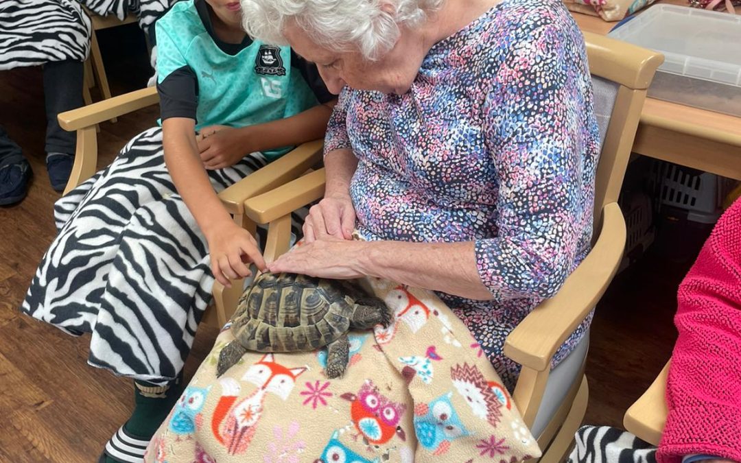 The Return of the animals on 25.08.2023