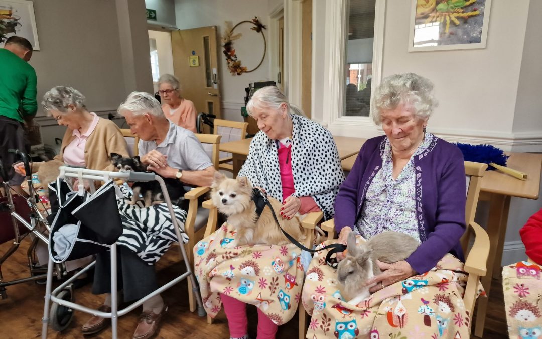 Harbour Rise Christmas Market