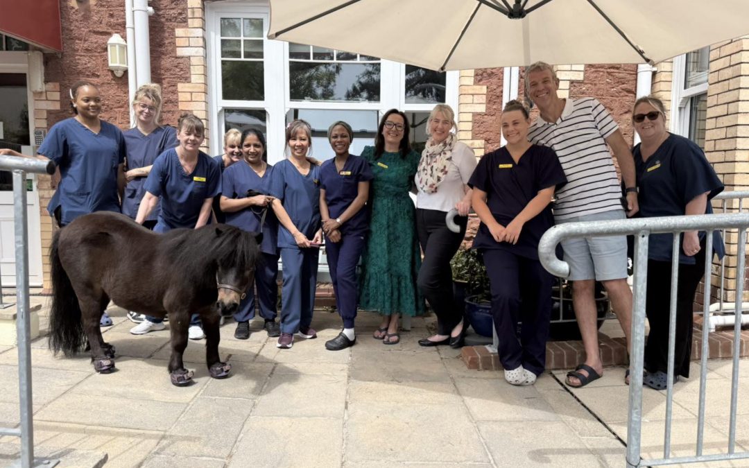 A Heartwarming Visit from Patrick the Pony at Harbour Rise Care Home